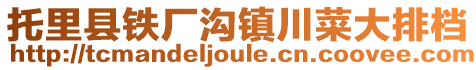 托里縣鐵廠溝鎮(zhèn)川菜大排檔