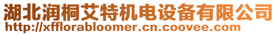 湖北潤桐艾特機(jī)電設(shè)備有限公司