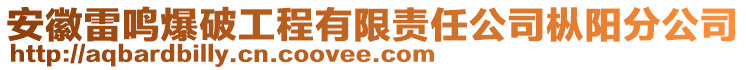 安徽雷鳴爆破工程有限責任公司樅陽分公司