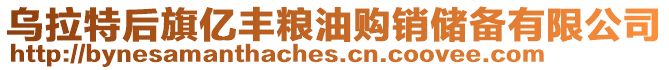 烏拉特后旗億豐糧油購銷儲備有限公司