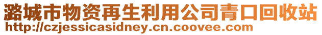 潞城市物資再生利用公司青口回收站