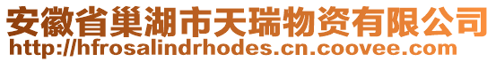 安徽省巢湖市天瑞物資有限公司