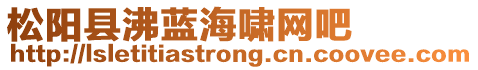 松陽(yáng)縣沸藍(lán)海嘯網(wǎng)吧