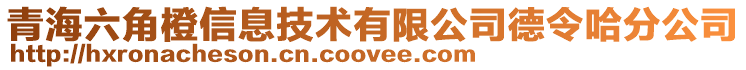 青海六角橙信息技术有限公司德令哈分公司