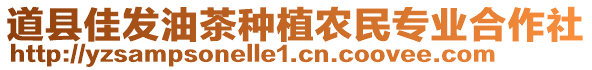 道縣佳發(fā)油茶種植農民專業(yè)合作社