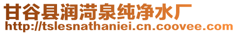 甘谷縣潤渮泉純凈水廠