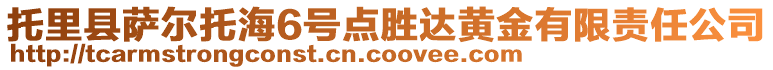 托里縣薩爾托海6號點勝達黃金有限責任公司