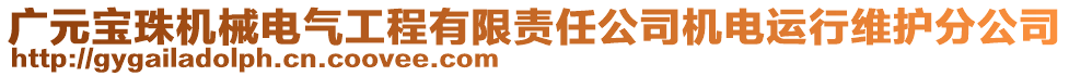 廣元寶珠機(jī)械電氣工程有限責(zé)任公司機(jī)電運(yùn)行維護(hù)分公司