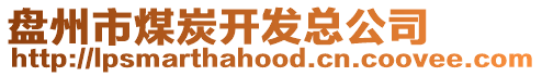 盤(pán)州市煤炭開(kāi)發(fā)總公司