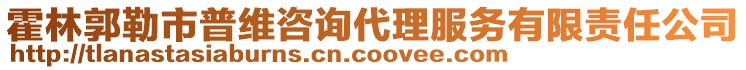 霍林郭勒市普維咨詢代理服務有限責任公司