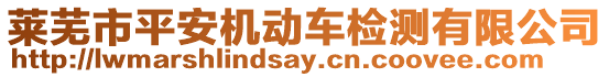 萊蕪市平安機(jī)動車檢測有限公司