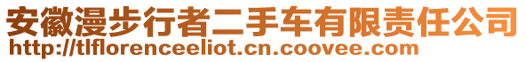安徽漫步行者二手車有限責任公司