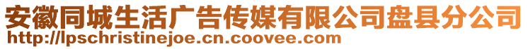 安徽同城生活廣告?zhèn)髅接邢薰颈P縣分公司