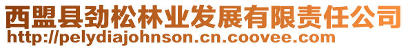 西盟縣勁松林業發展有限責任公司