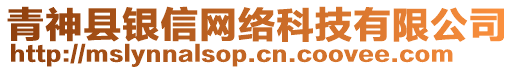 青神縣銀信網(wǎng)絡(luò)科技有限公司