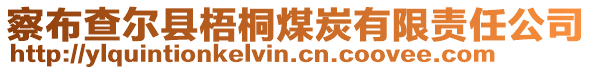 察布查爾縣梧桐煤炭有限責(zé)任公司