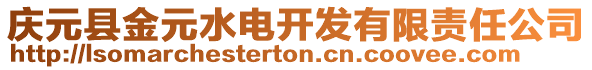 慶元縣金元水電開發(fā)有限責任公司