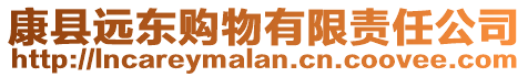 康縣遠(yuǎn)東購物有限責(zé)任公司