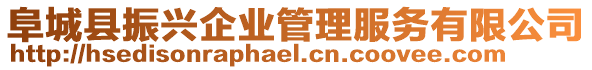 阜城縣振興企業管理服務有限公司