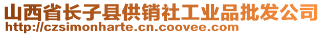 山西省長子縣供銷社工業(yè)品批發(fā)公司