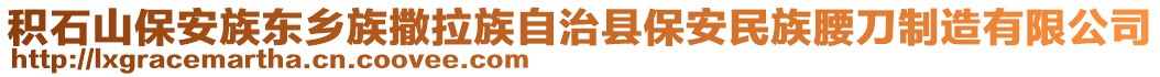 積石山保安族東鄉(xiāng)族撒拉族自治縣保安民族腰刀制造有限公司