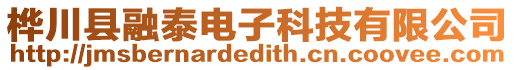 樺川縣融泰電子科技有限公司