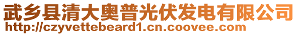 武鄉(xiāng)縣清大奧普光伏發(fā)電有限公司