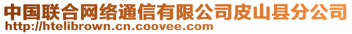 中國(guó)聯(lián)合網(wǎng)絡(luò)通信有限公司皮山縣分公司