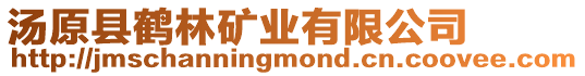 湯原縣鶴林礦業有限公司