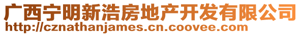 廣西寧明新浩房地產(chǎn)開(kāi)發(fā)有限公司