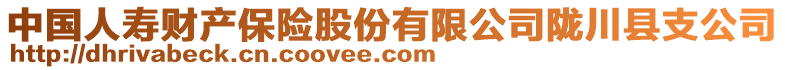 中國人壽財產(chǎn)保險股份有限公司隴川縣支公司