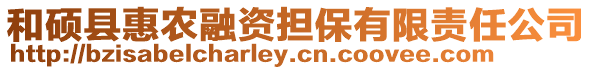 和碩縣惠農融資擔保有限責任公司