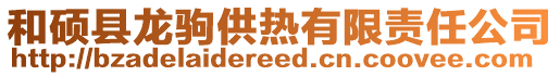和碩縣龍駒供熱有限責(zé)任公司