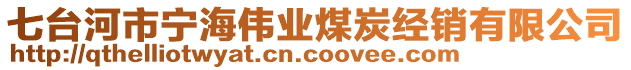 七臺河市寧海偉業(yè)煤炭經(jīng)銷有限公司