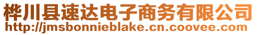 樺川縣速達(dá)電子商務(wù)有限公司