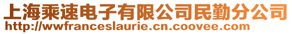 上海乘速電子有限公司民勤分公司