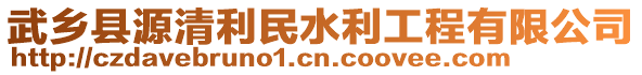 武鄉(xiāng)縣源清利民水利工程有限公司