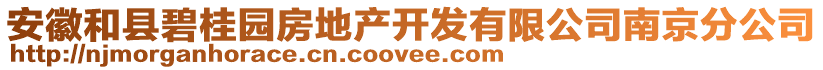 安徽和縣碧桂園房地產(chǎn)開發(fā)有限公司南京分公司