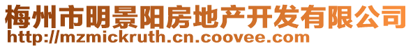 梅州市明景陽房地產(chǎn)開發(fā)有限公司