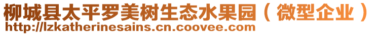 柳城縣太平羅美樹生態(tài)水果園（微型企業(yè)）