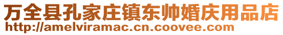 萬全縣孔家莊鎮東帥婚慶用品店
