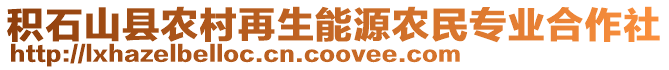 積石山縣農(nóng)村再生能源農(nóng)民專業(yè)合作社