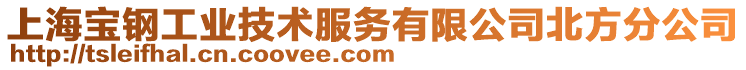 上海宝钢工业技术服务有限公司北方分公司