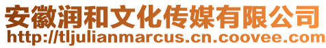 安徽潤和文化傳媒有限公司