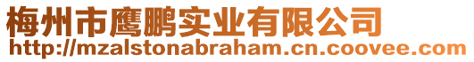 梅州市鷹鵬實業(yè)有限公司