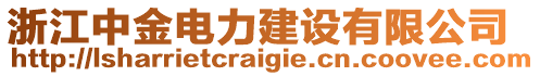 浙江中金電力建設(shè)有限公司