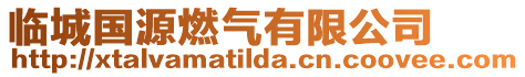 臨城國源燃?xì)庥邢薰? style=