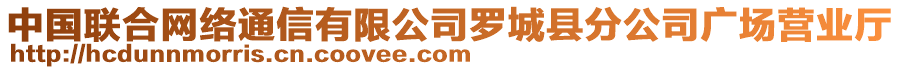 中國聯(lián)合網(wǎng)絡(luò)通信有限公司羅城縣分公司廣場營業(yè)廳