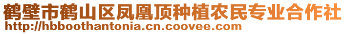 鶴壁市鶴山區(qū)鳳凰頂種植農(nóng)民專業(yè)合作社