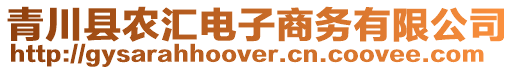 青川縣農(nóng)匯電子商務(wù)有限公司